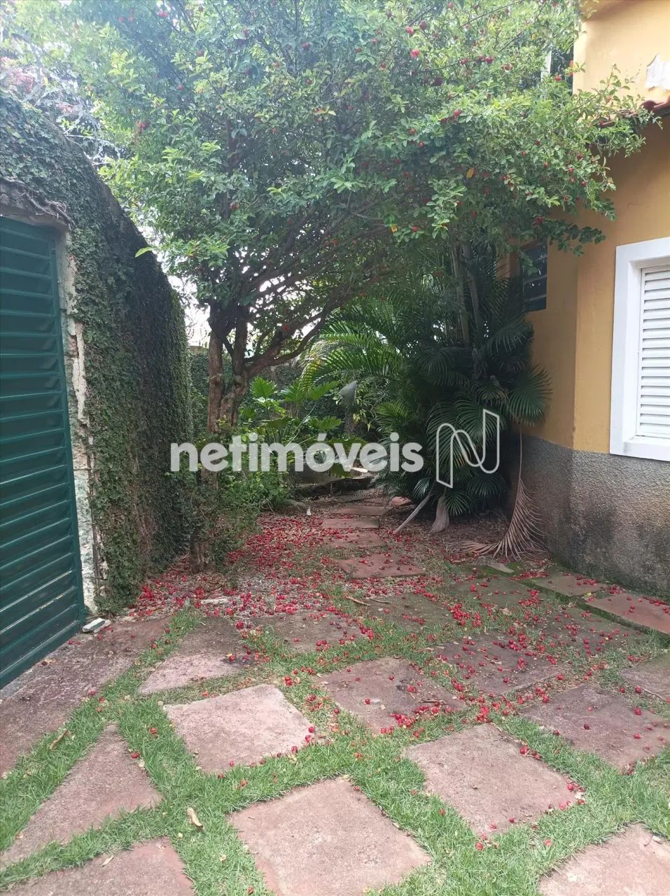 Venda Casa Jonas Veiga Belo Horizonte - Foto 3