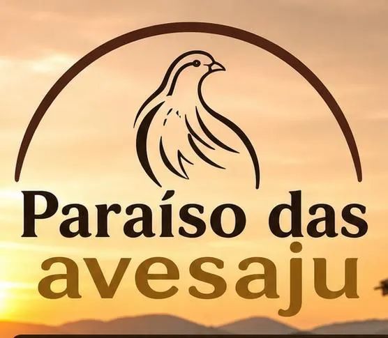 Vendo Perdiz Chukar  - Foto 5