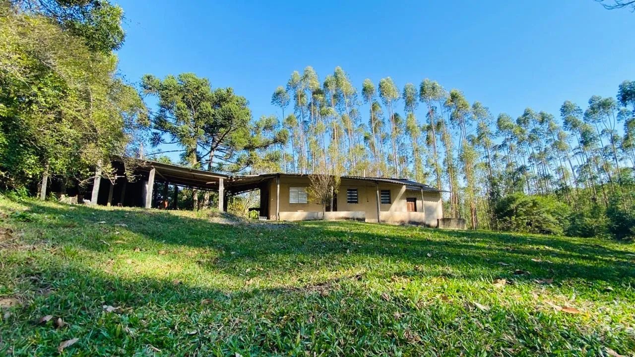 Foto - São Paulo - Jardim Cláudia
