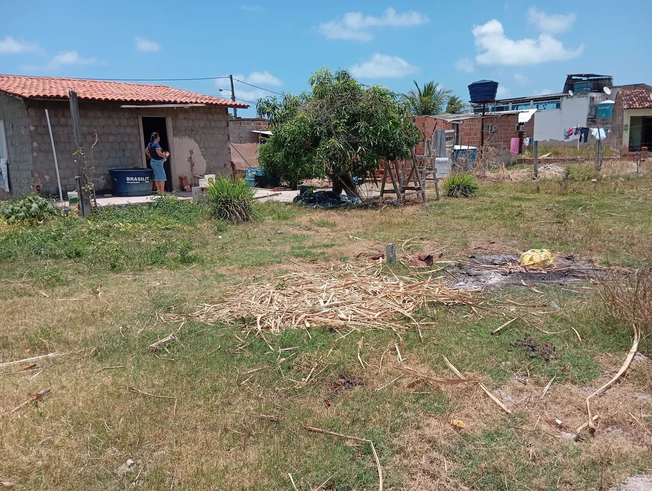 Praia de Gravatá - São José da Coroa Grande - Foto 4