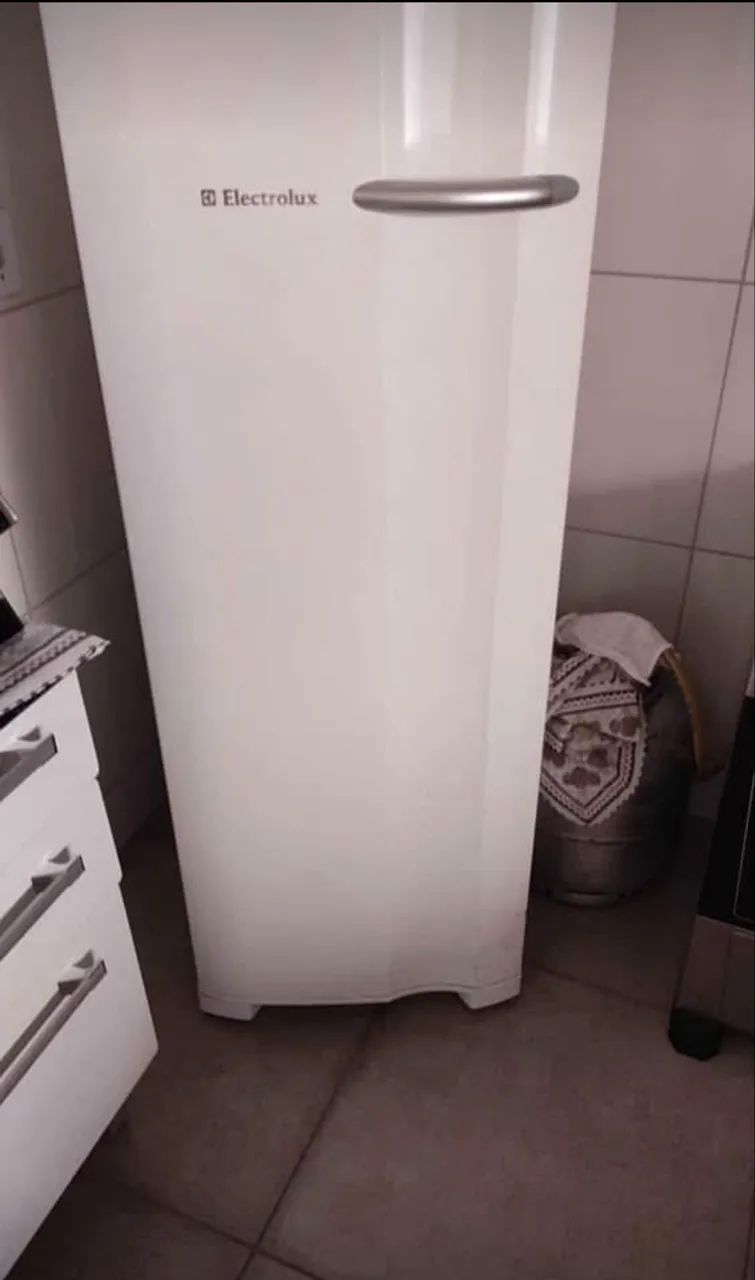 Freezer vertical Electrolux