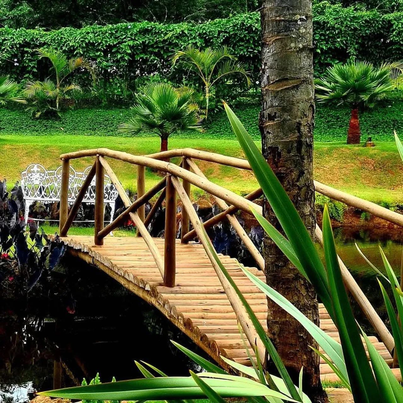 SITIO LUXO EM FAROFA SJ BICAS. - Foto 5