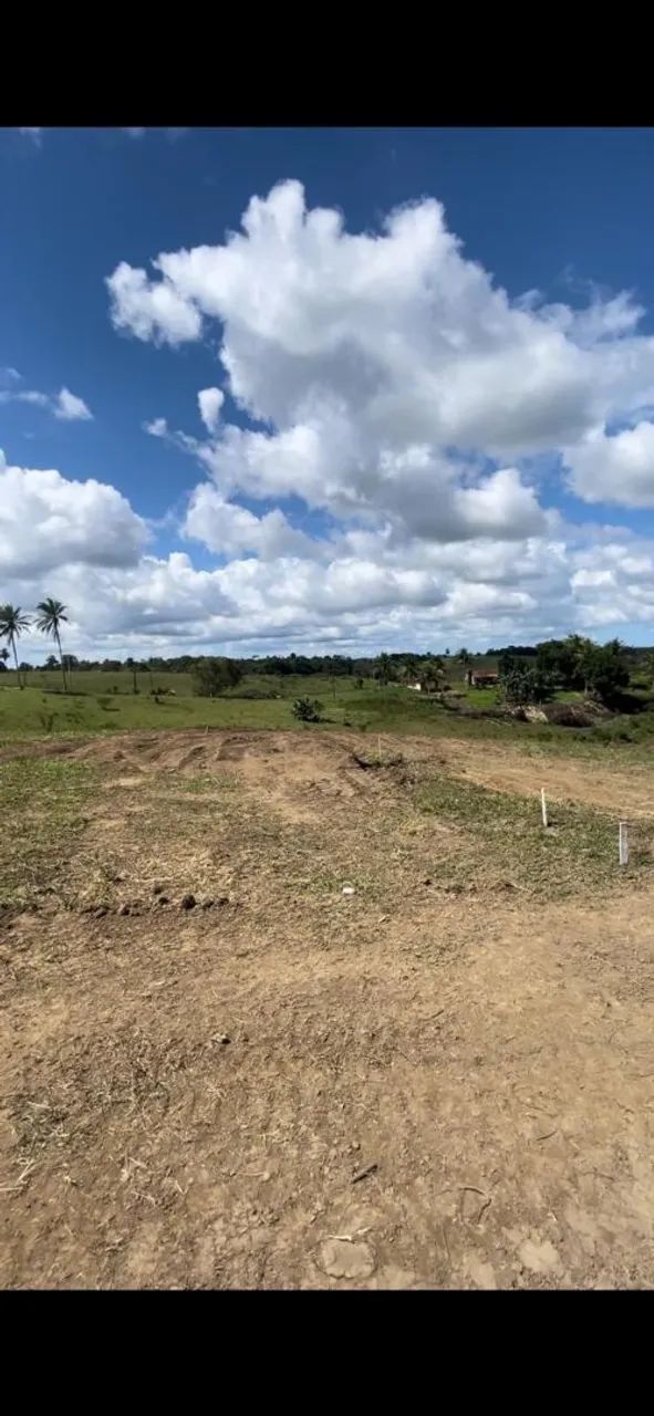Mini sítios em São Felipe - Foto 2