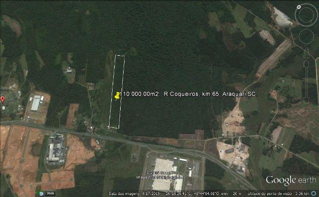 Área 110.000,00 m²
