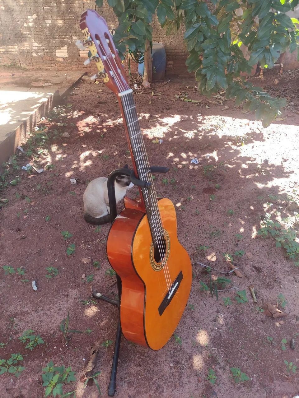 Violão clássico nylon  - Foto 4