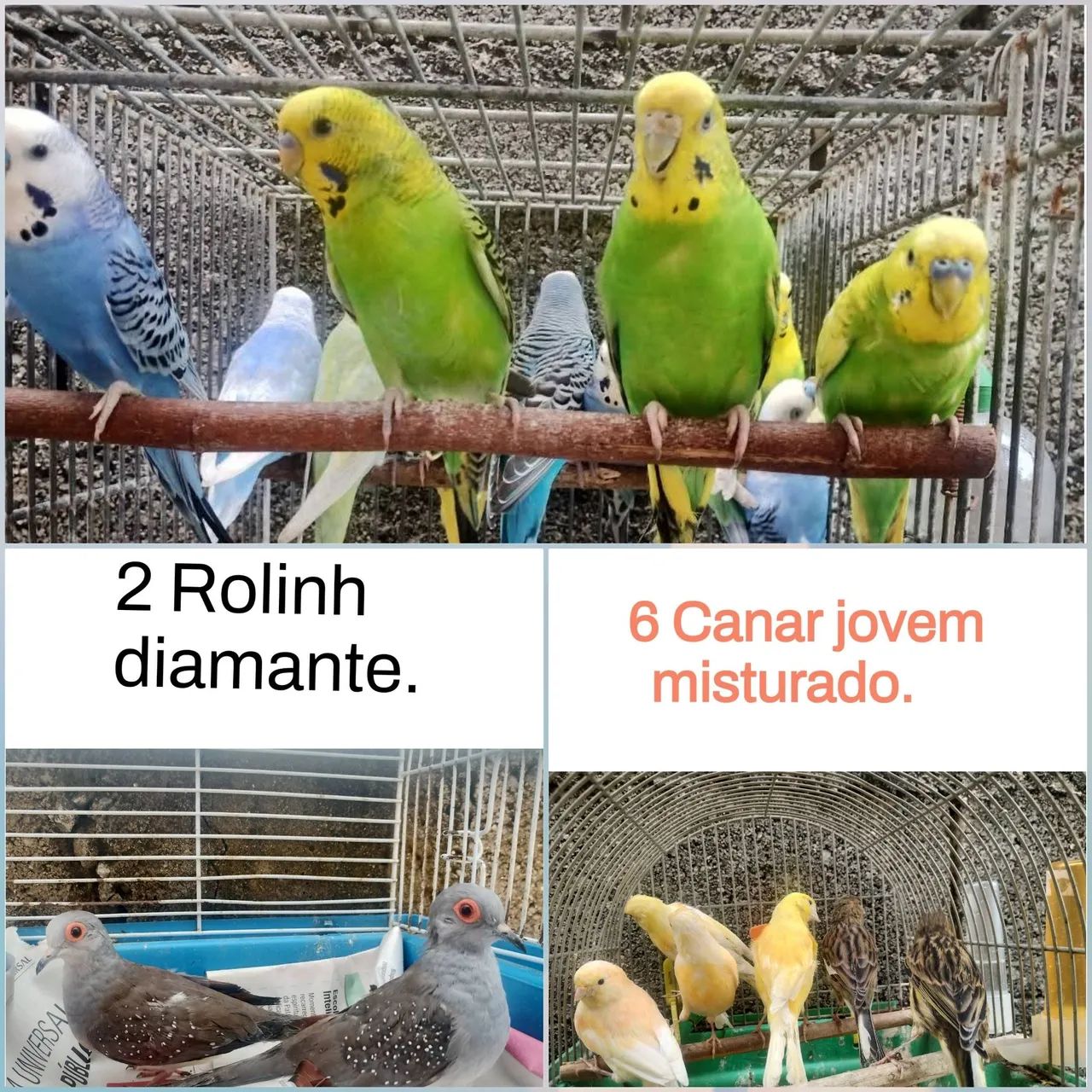 Vendo o pacote por 350 tudo 