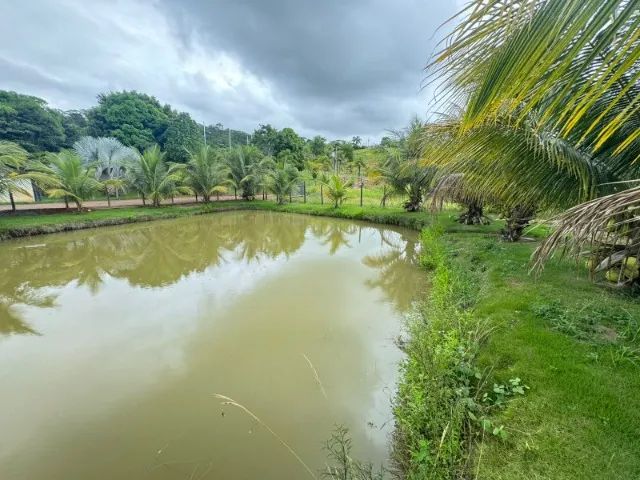 SITIO JOÃO NEIVA ES. - Foto 5