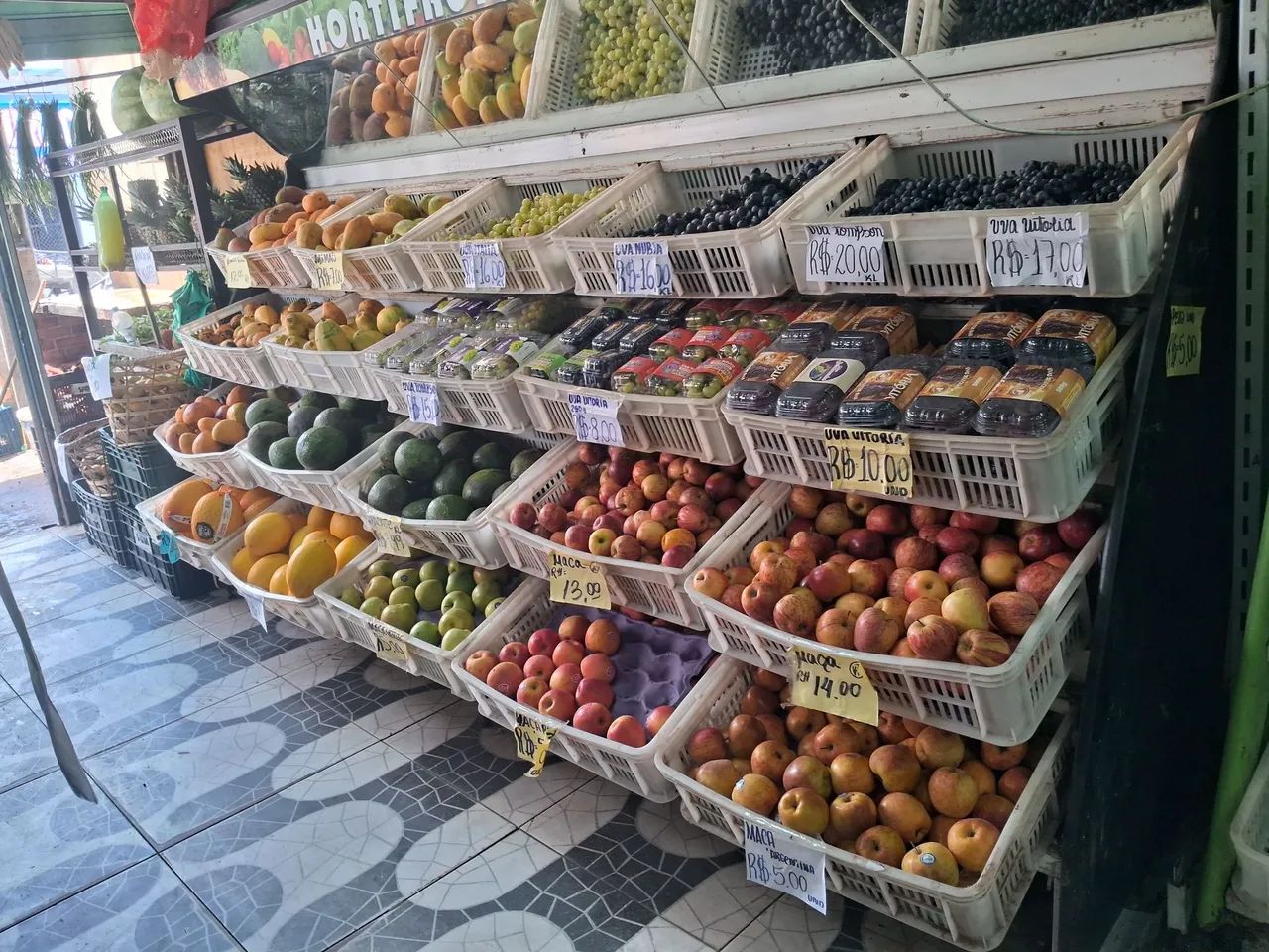 Vendo HORT frutt - Foto 3