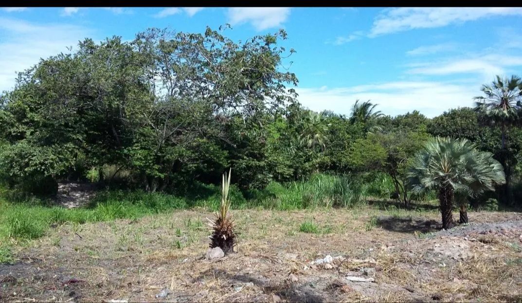 Terreno na Messejana  - Foto 2