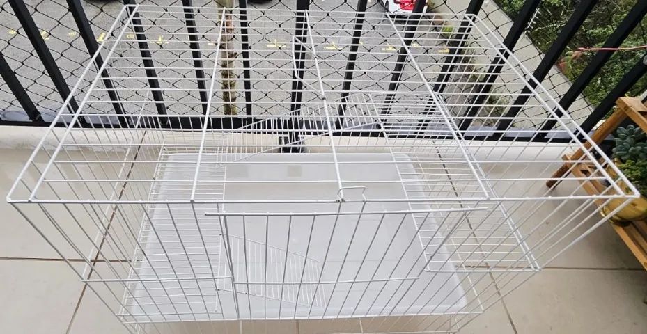 Gaiola roedores - Foto 3