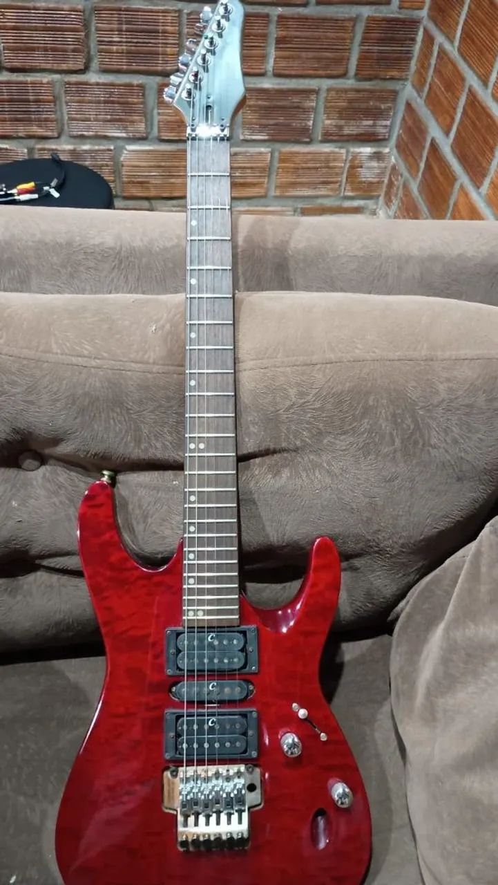 Guitarra condor floid rose