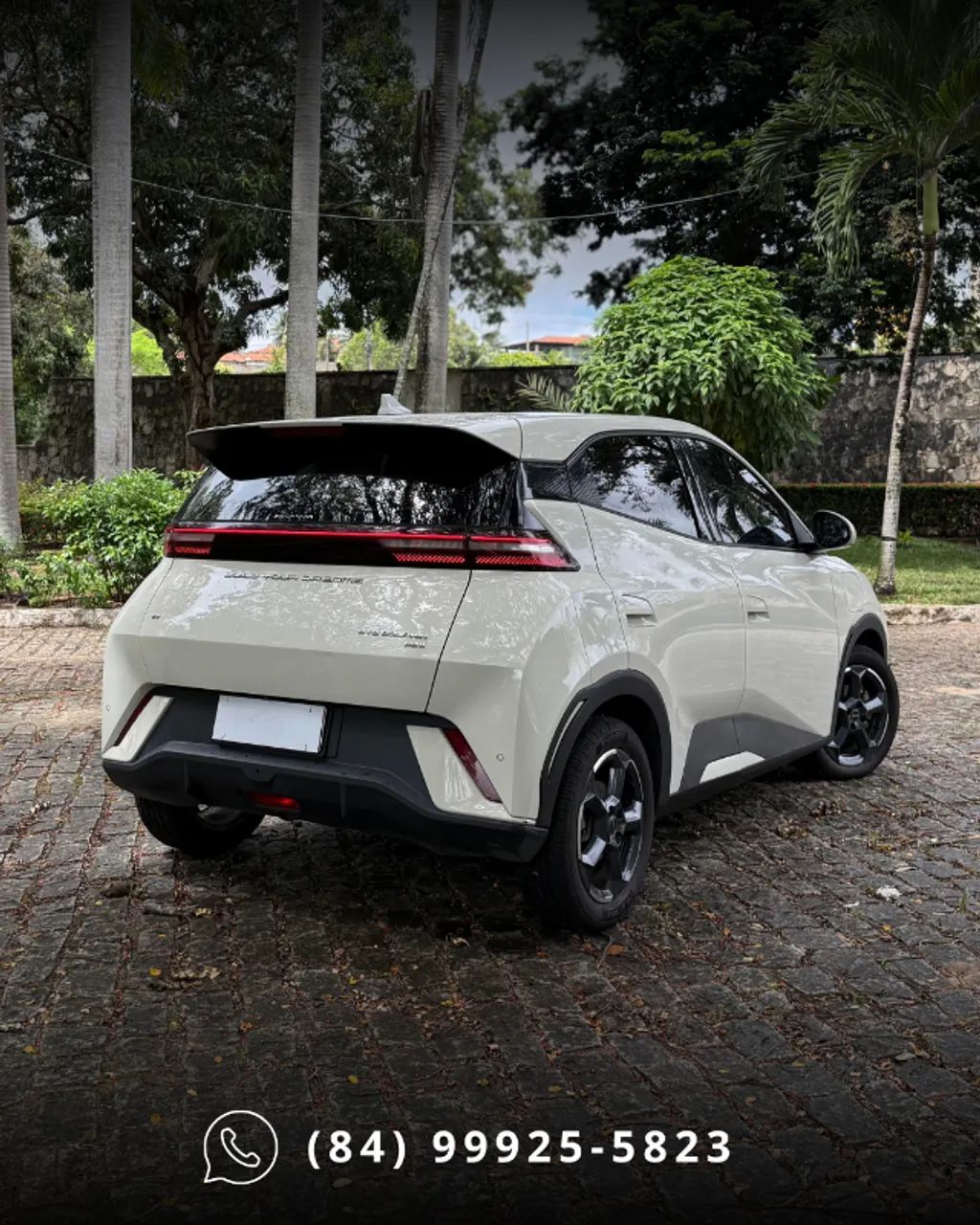 BYD Dolphin Mini (Elétrico) 2025 - Foto 3