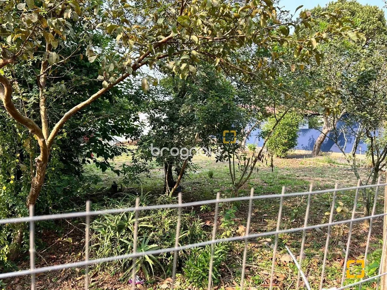 Terreno à venda no Campeche - Florianópolis - Foto 5