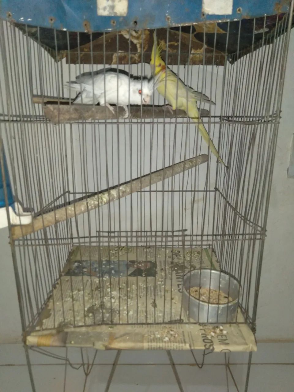 Vendo - Foto 2