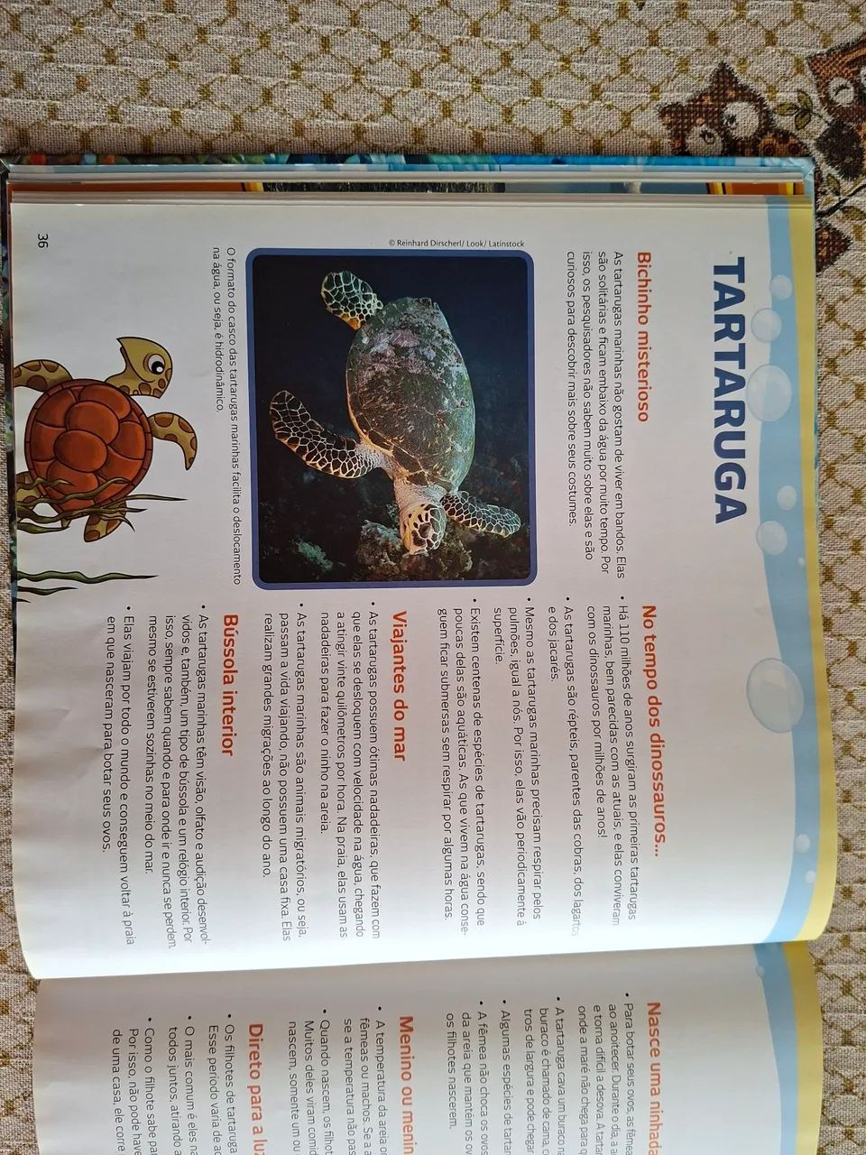 Livro infantil - Foto 2