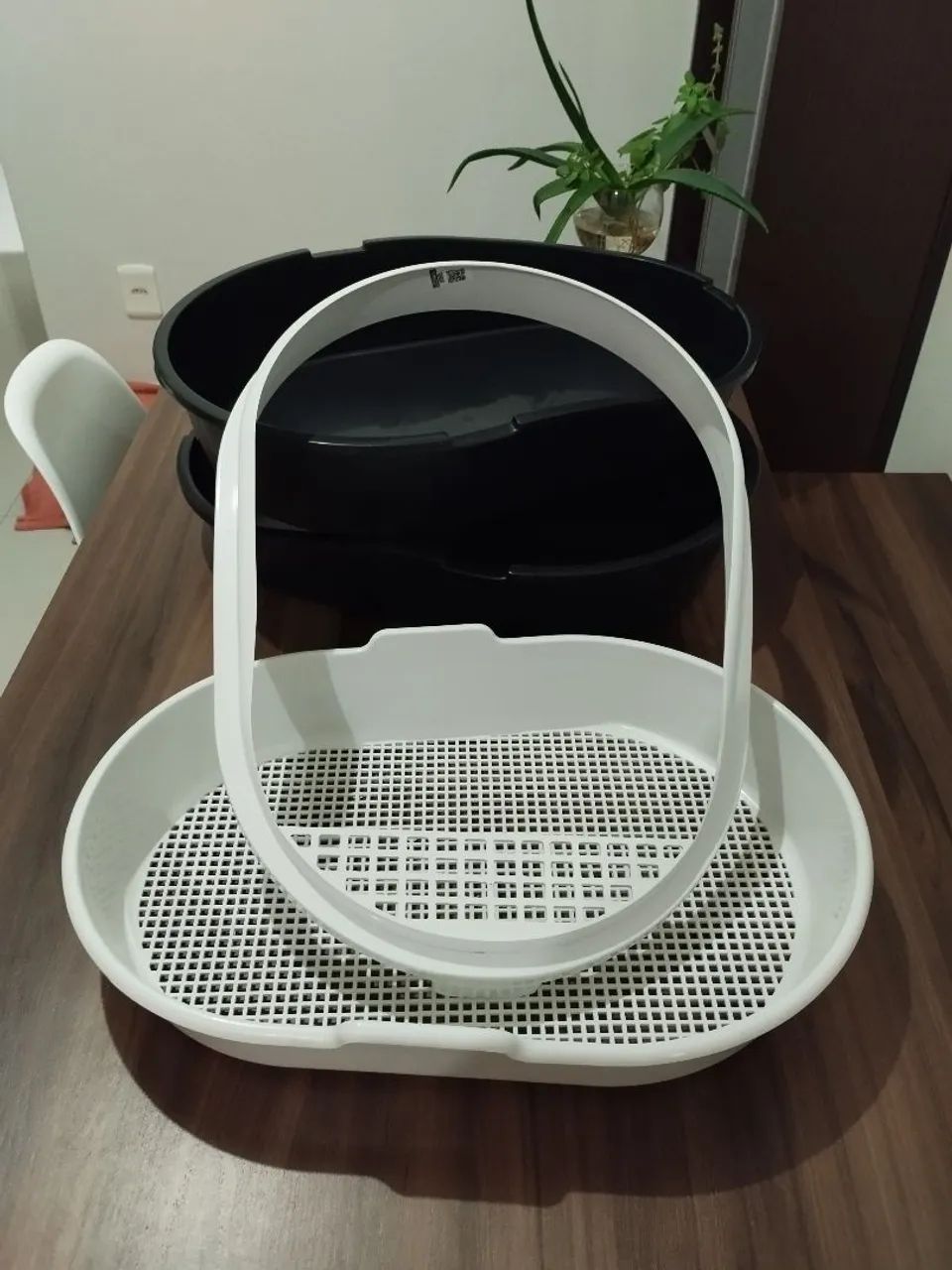 Sanitário Gato  - Foto 2