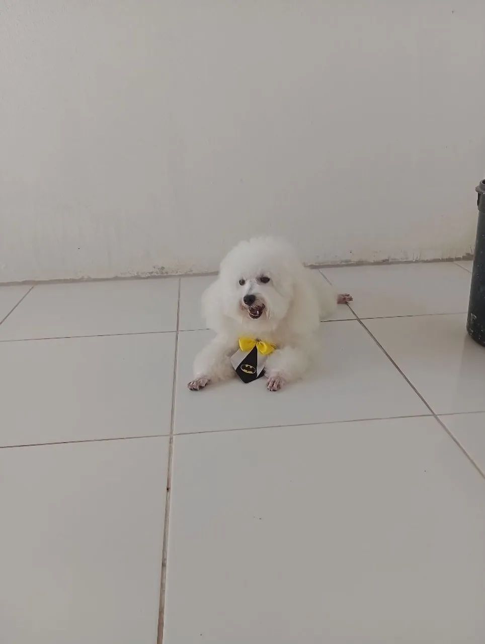 PROCURA-SE UMA NAMORADA  - Foto 3