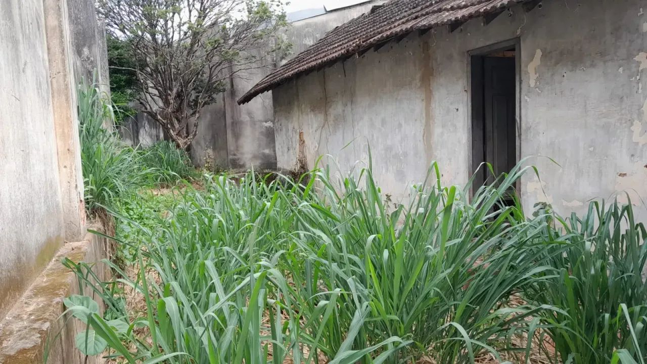 LOTE EM NOVA SUÍSSA, BELO HORIZONTE - MG - Foto 5