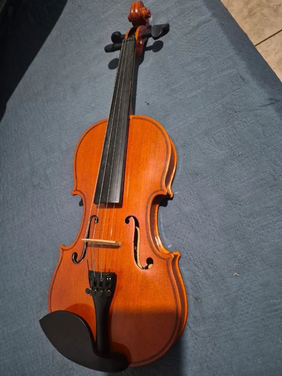 Violino Parrot  - Foto 2