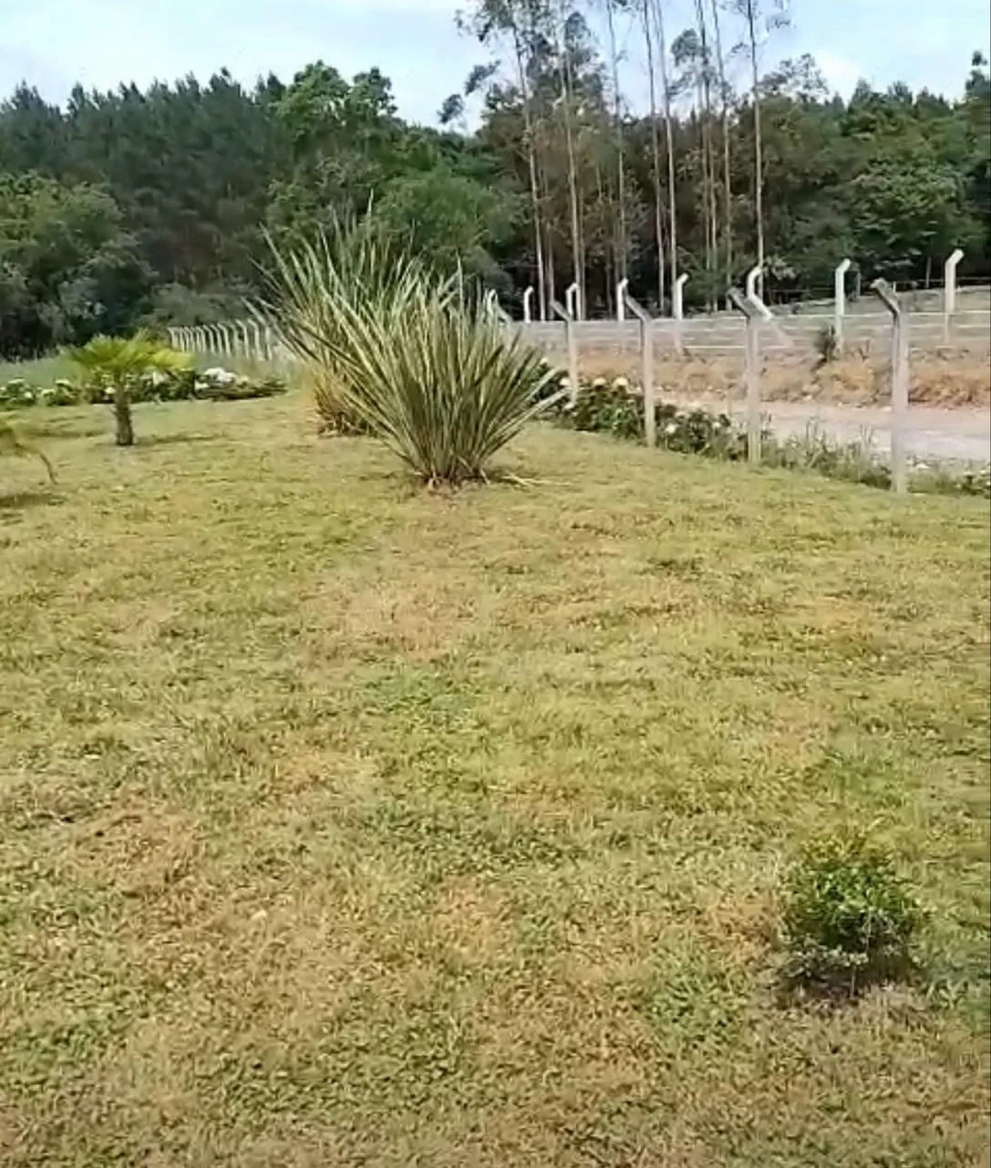Vendo linda Chácara  - Foto 3