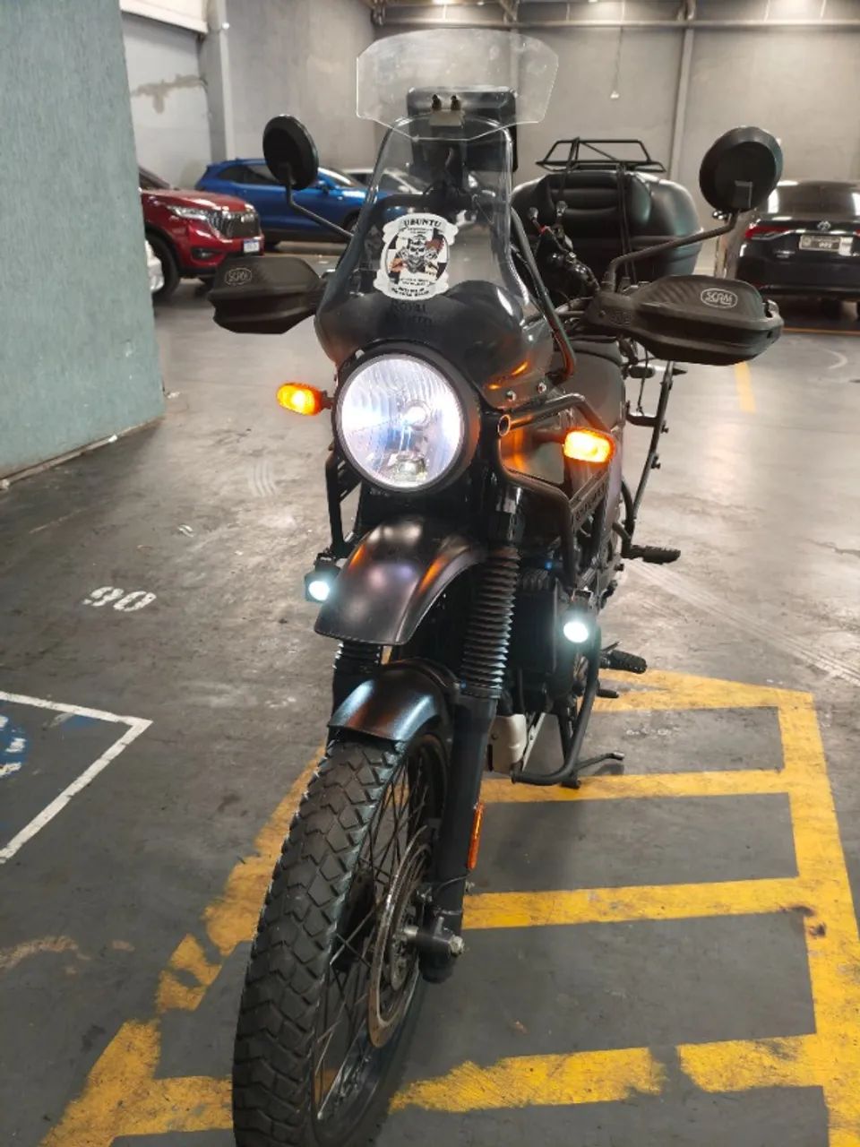 Himalayan - Foto 2