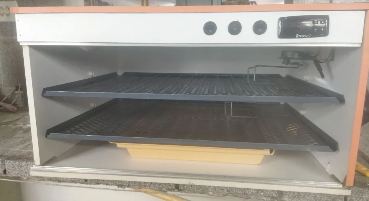 Chocadeira  - Foto 2