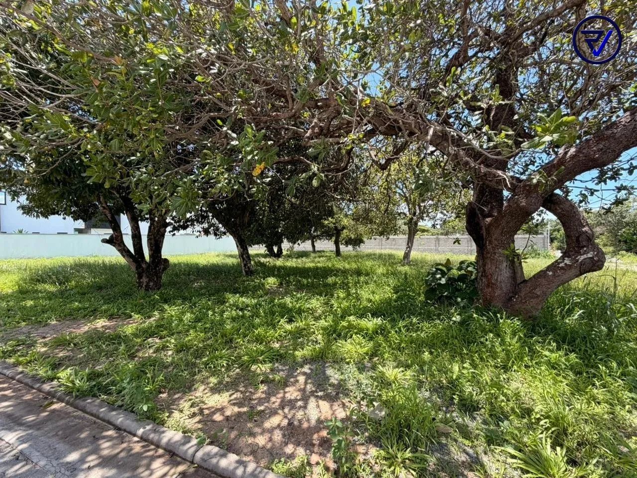 Reserva Terra Brasilis | Lote com 362,47m² - Foto 4