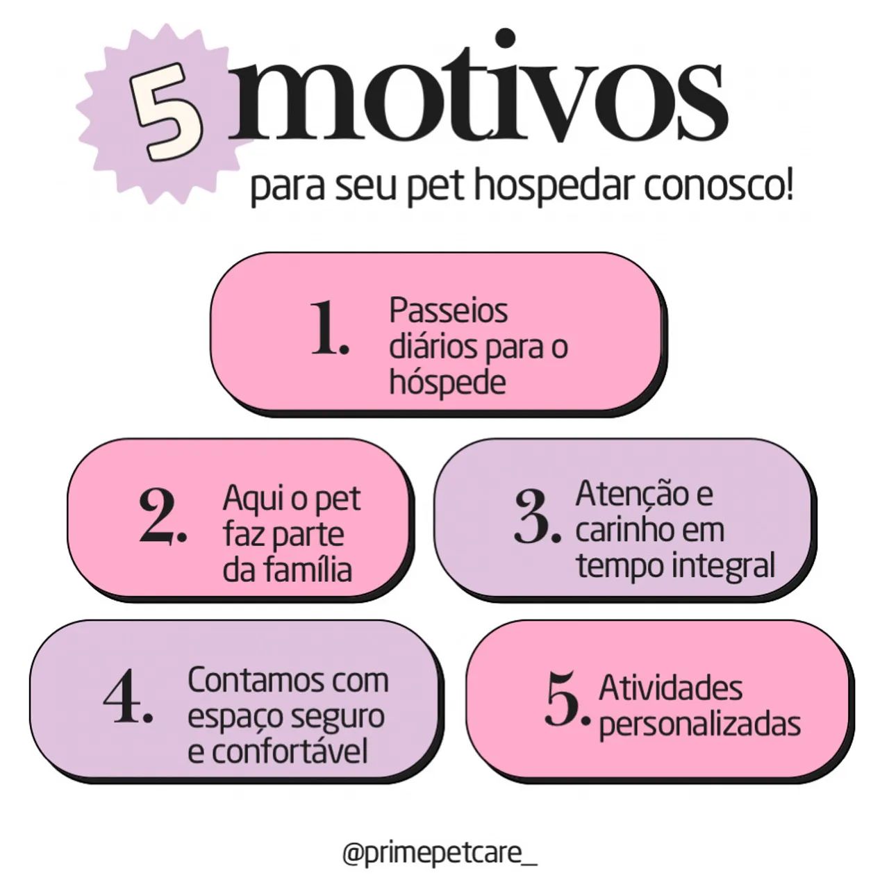HOSPEDAGEM PET EM GOIÂNIA 