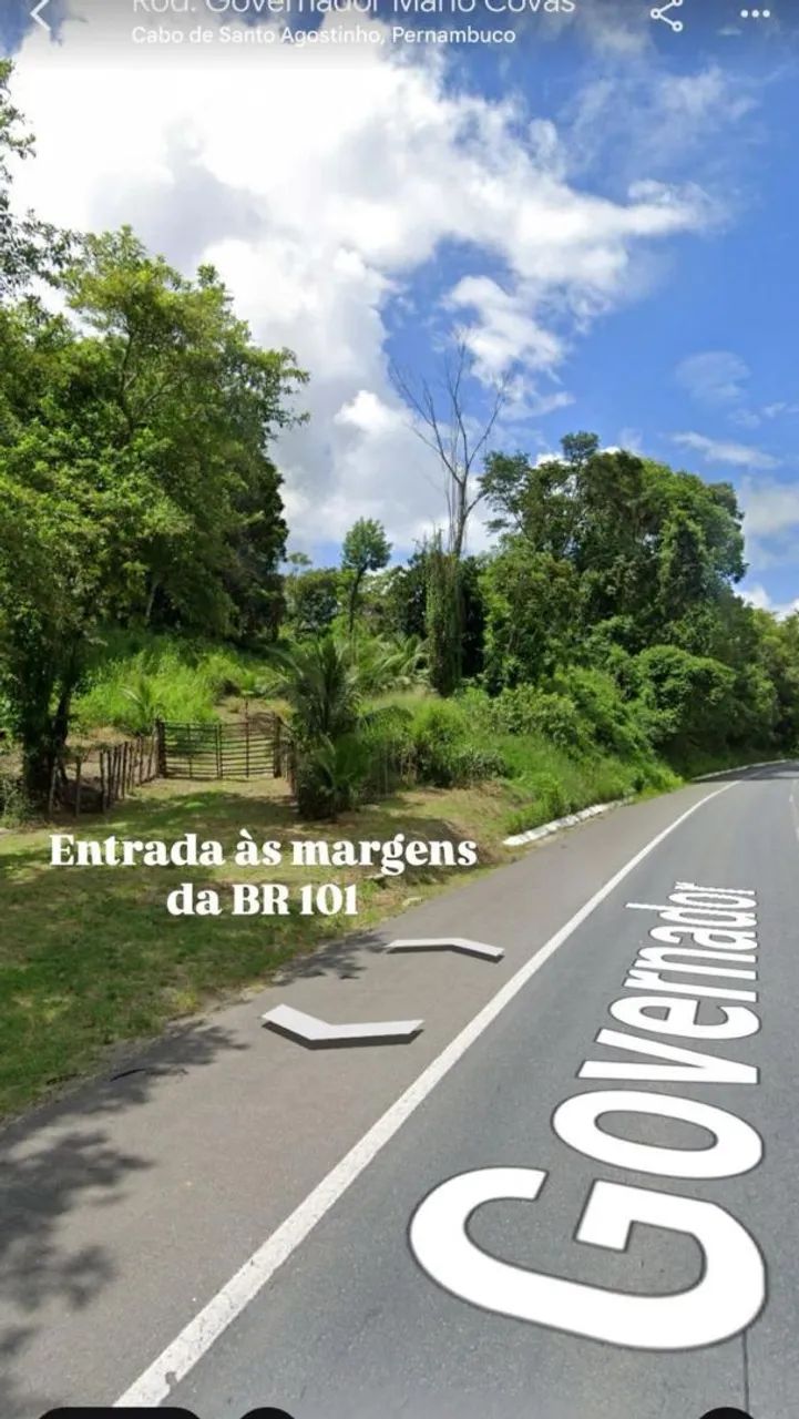 Granja  - Foto 5