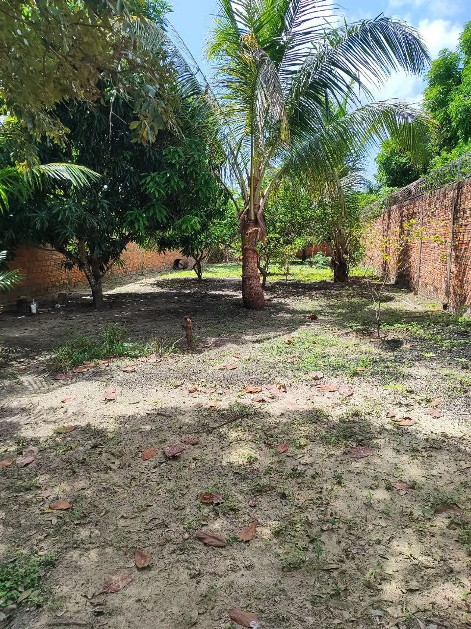 TERRENO a venda bairro MATA .  - Foto 4