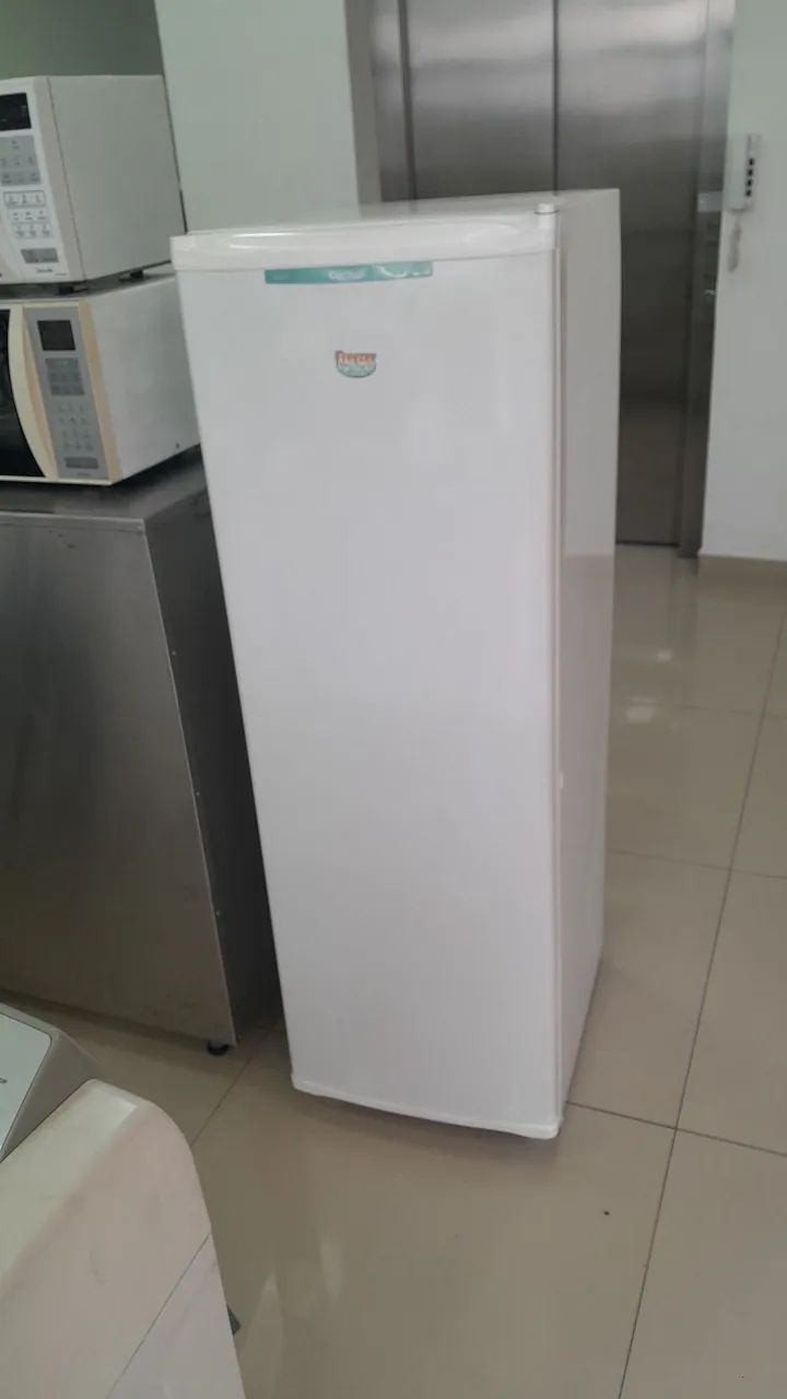 Freezer vertical  consul