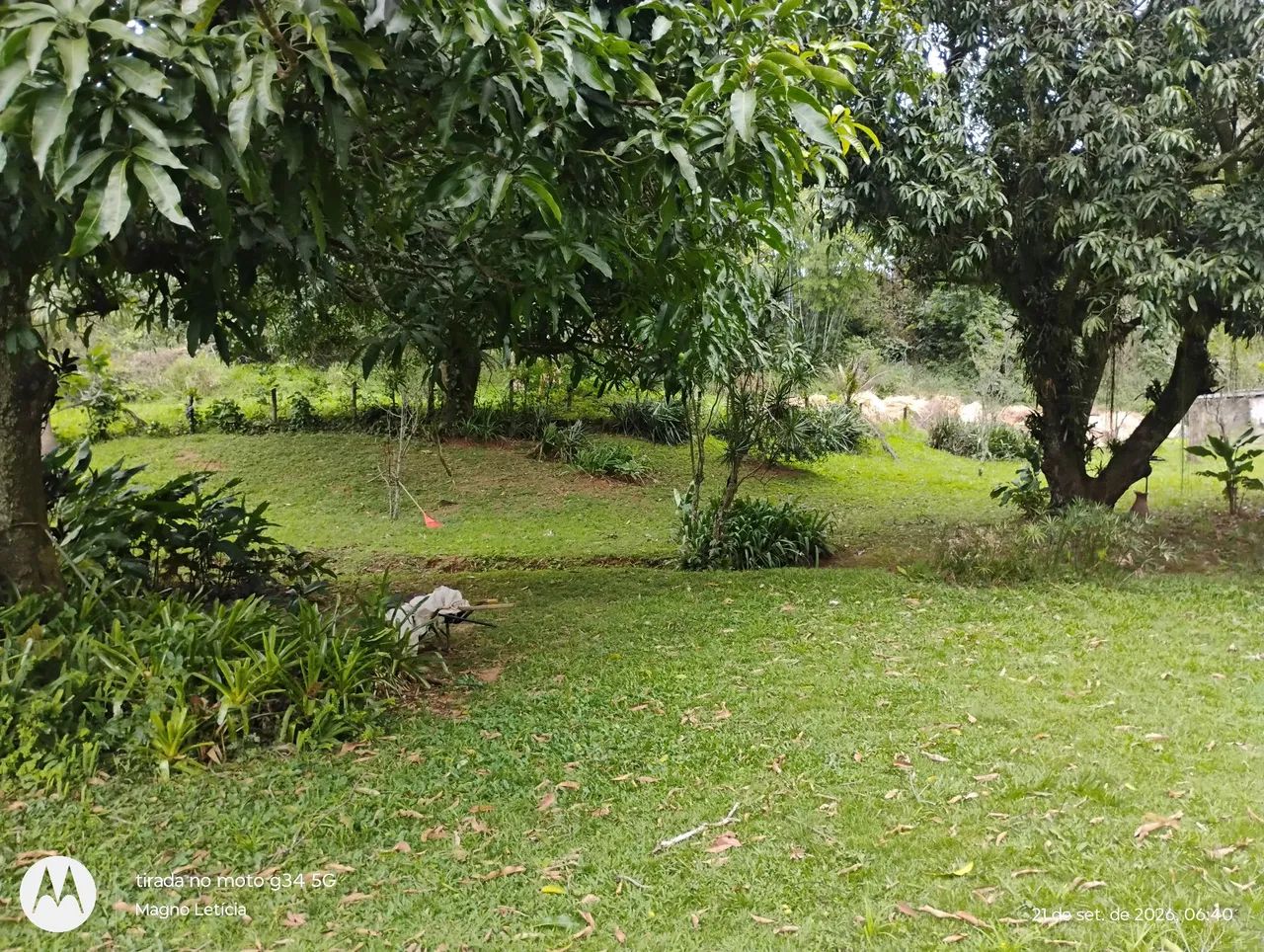 Sitio a venda  - Foto 5