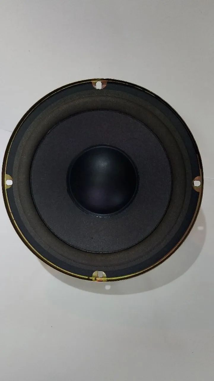Alto Falante Woofer/ Subwoofer 8 Polegadas Aiwa 