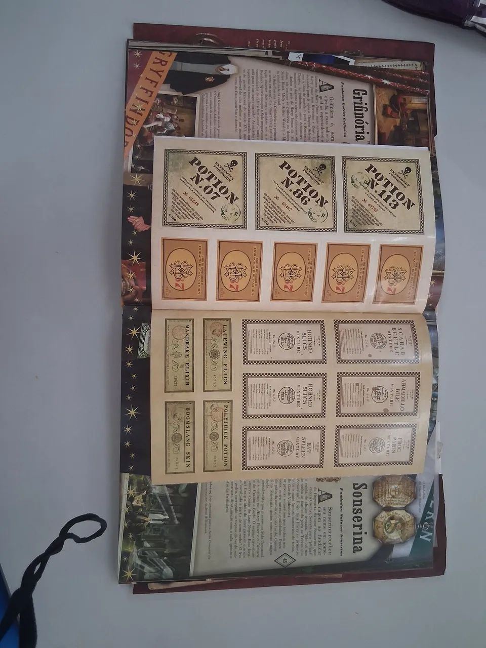 Livro Harry Potter  - Foto 5