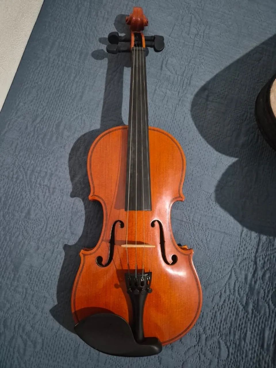 Violino Parrot  - Foto 5