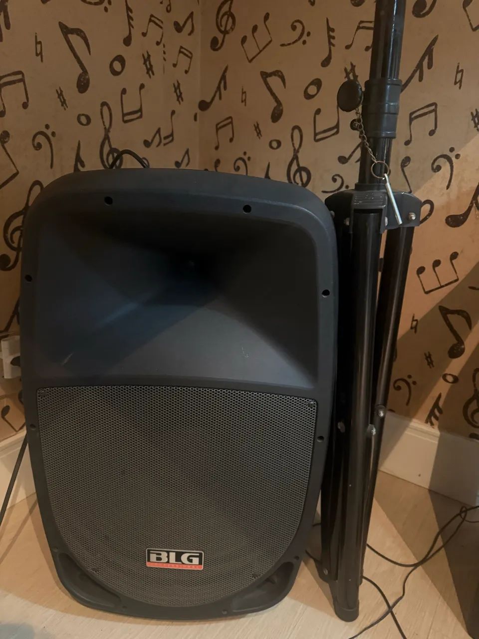 Caixa de Som Profissional BLG com Bluetooth