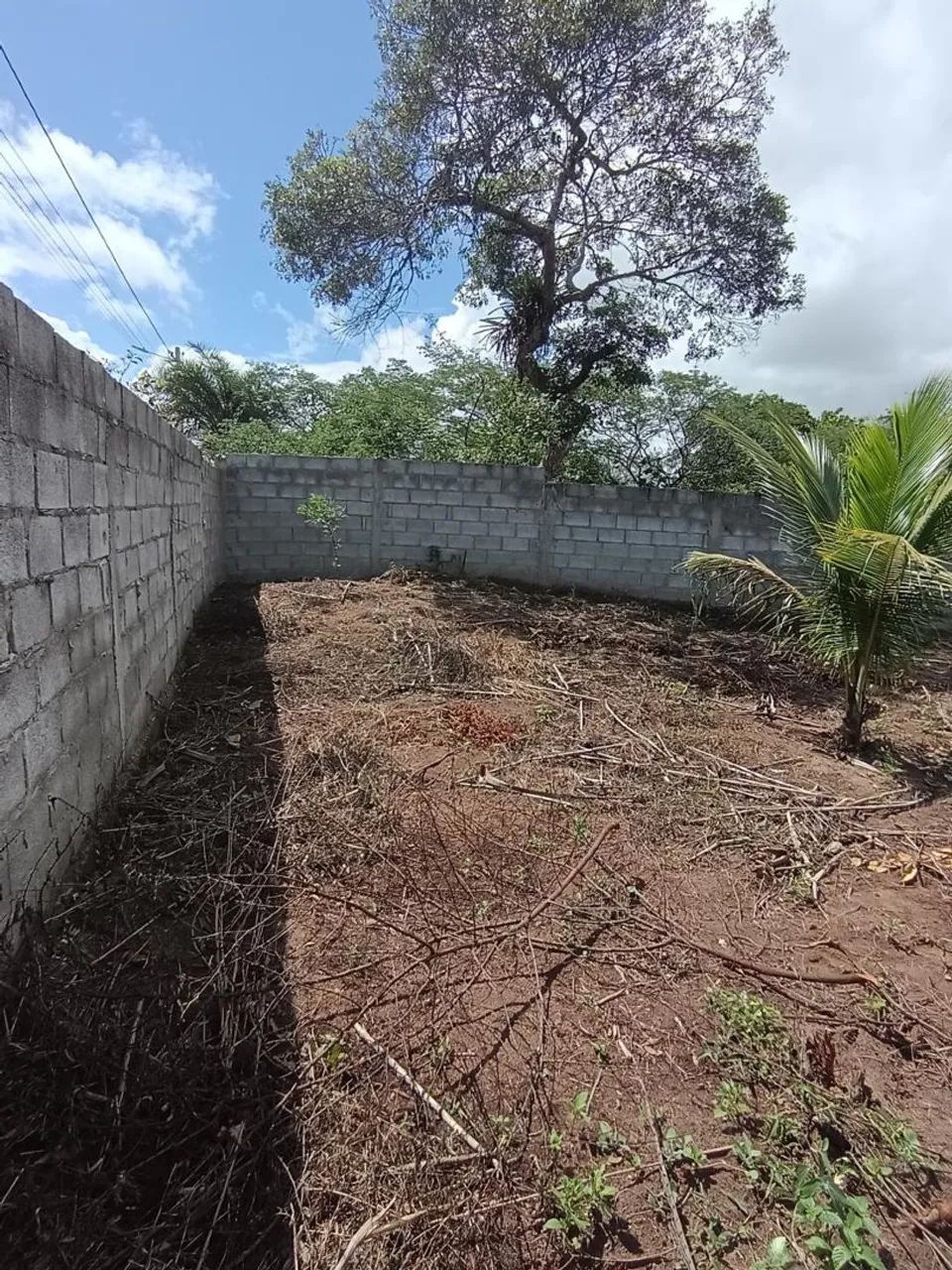 Terreno no papagaio 