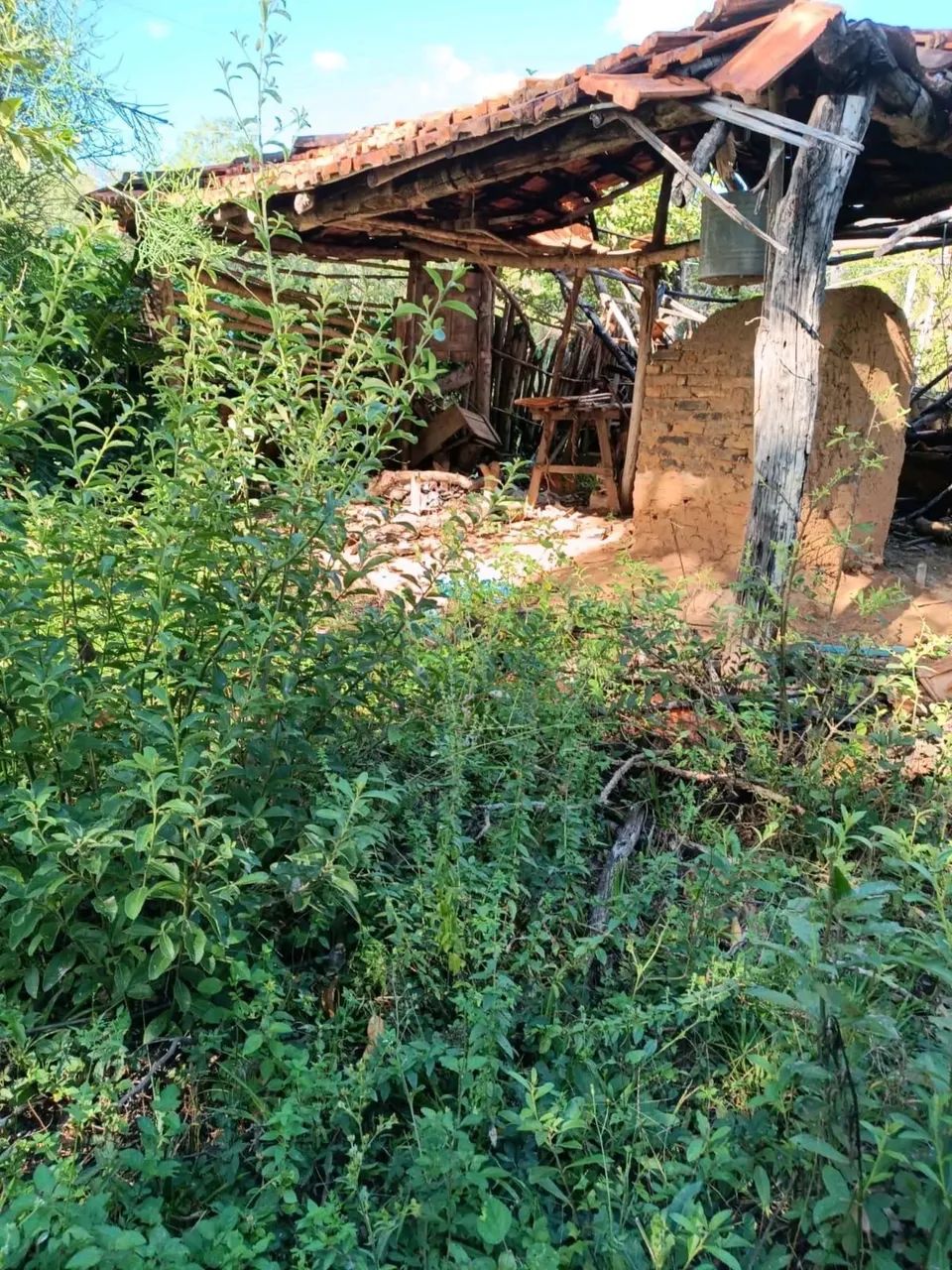 Fazenda barata ? presidente Olegário  - Foto 3