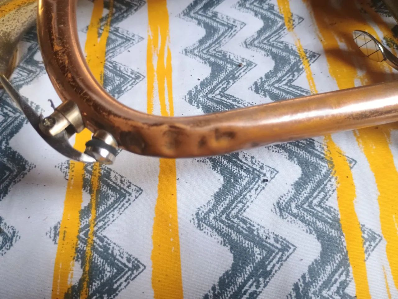 Flugelhorn dolphin - Foto 3
