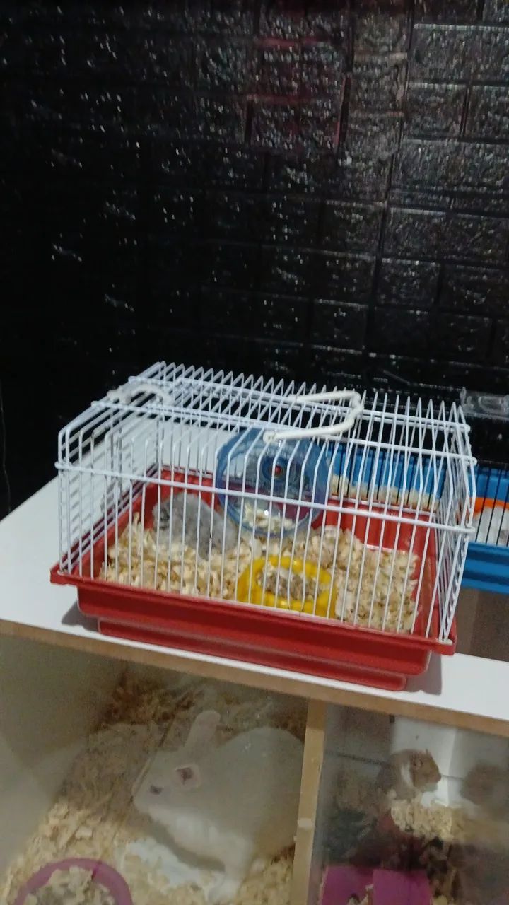 Gaiola, hamster, coelhos - Foto 4