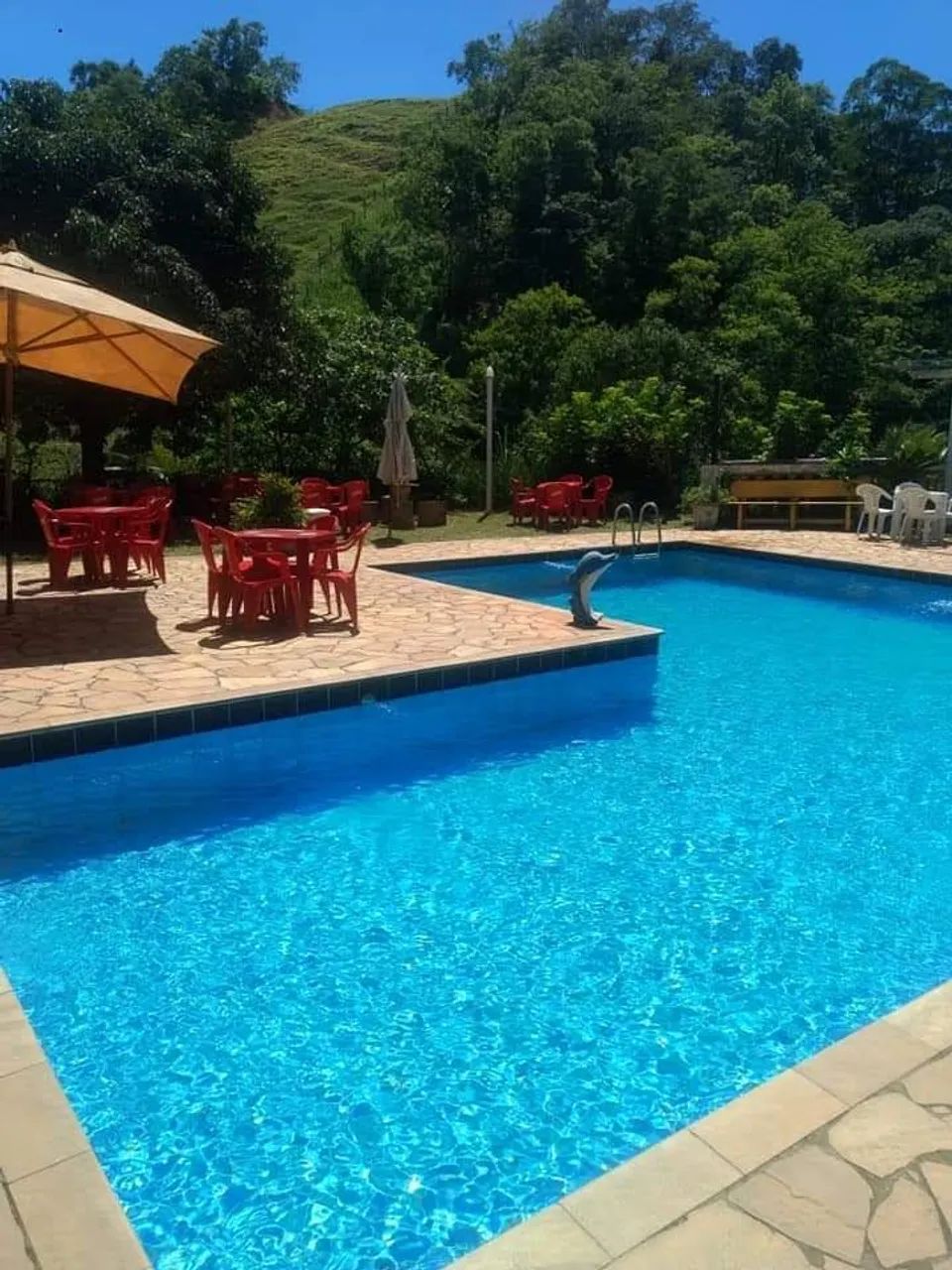 Venda de sítio com casa  - Foto 2