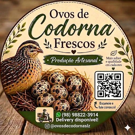 Ovos de codorna - Foto 4