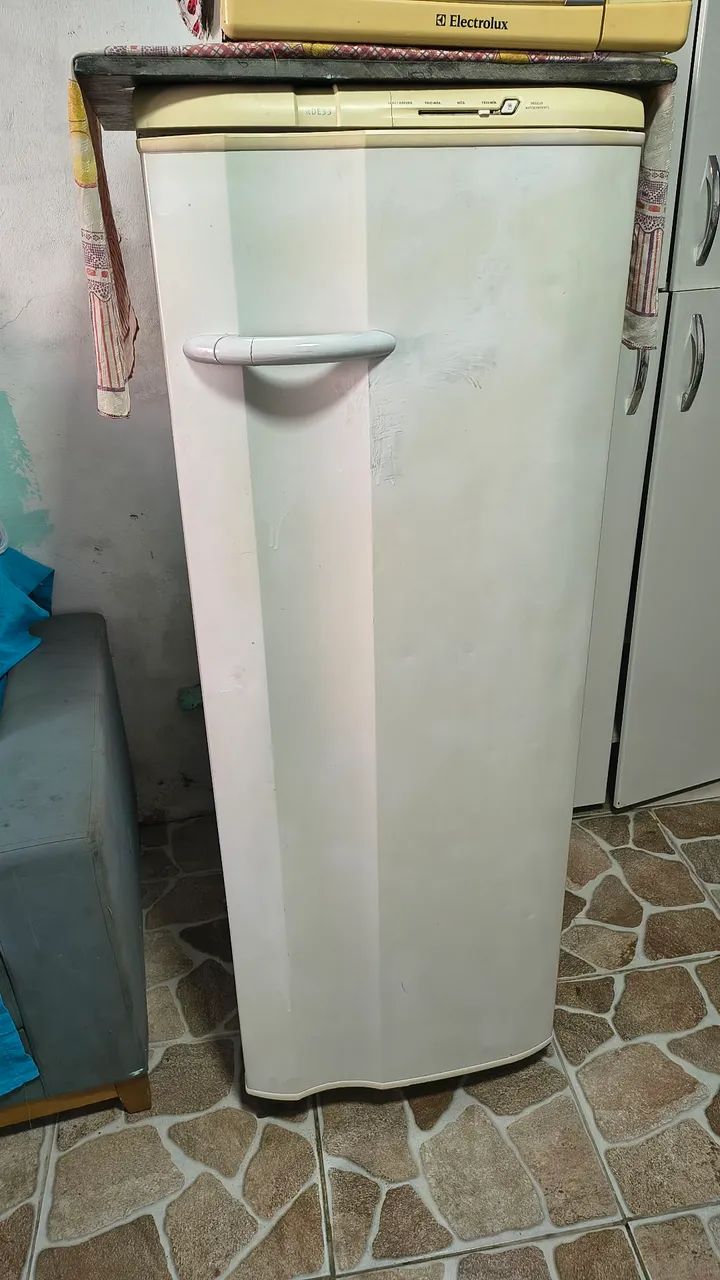 Geladeiras 110 