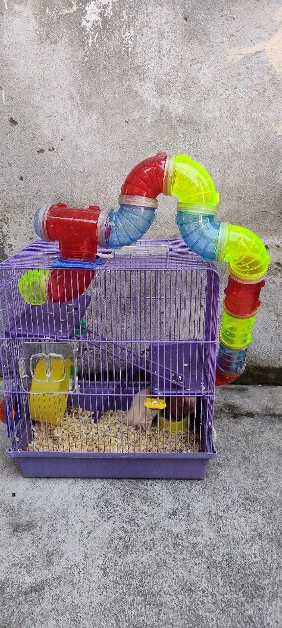 Vendo gaiola para hamster de 3 andares com, comedouro, bebedouro e roda de ecercicios