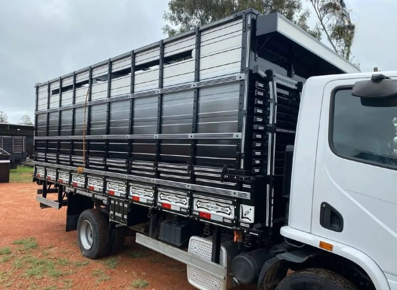 ACCELO 1016 BOIADEIRO ANO 2015. - Foto 3