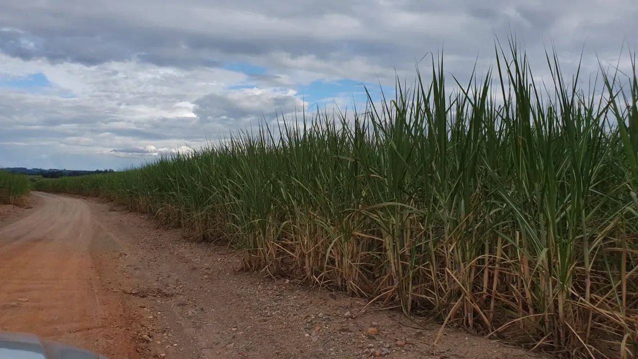 Fazenda á venda Piracicaba SP - Foto 2