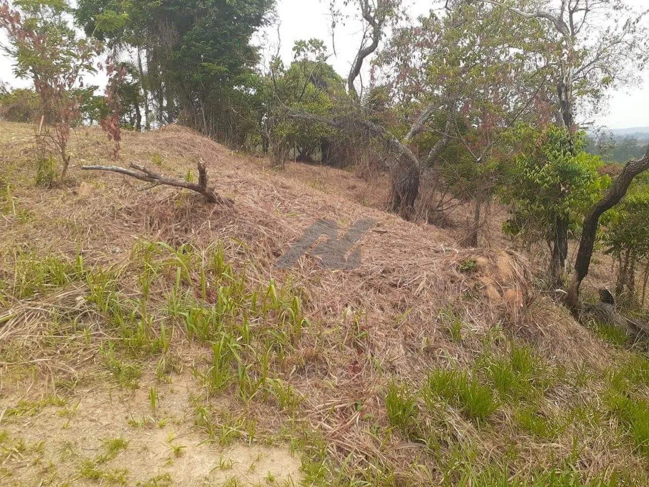 terreno - Joaquim Egídio - Campinas - Foto 5