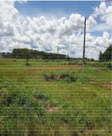 Imóvel comercial c/ 03ha em Planaltina/DF - Foto 2