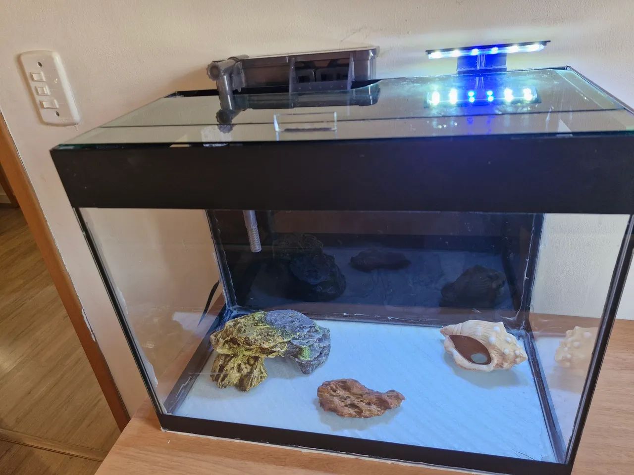 Aquario completo 60 litros