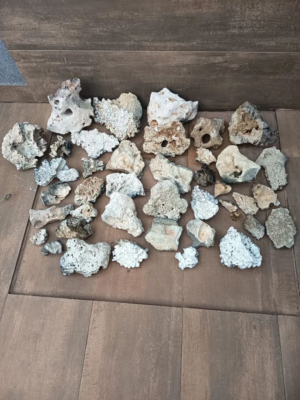 Rochas Sansibar aquário  - Foto 3